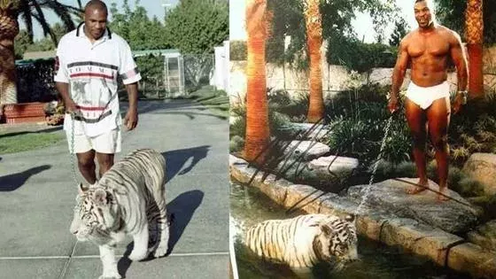 Mike Tyson