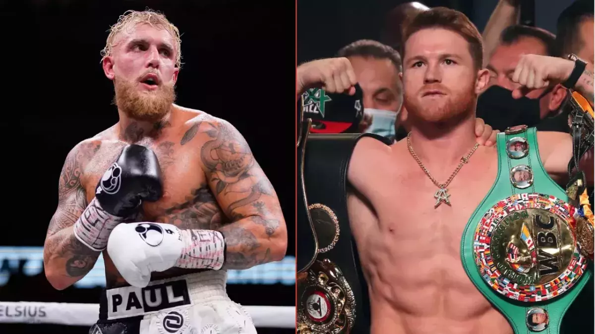 Paul / Canelo