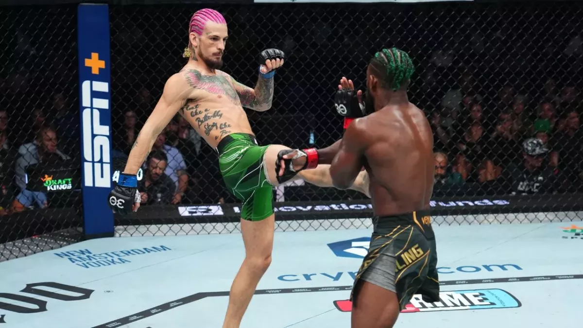 Sean O'Malley a battu Aljamain Sterling par TKO au 2e round. 