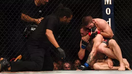 UFC 229