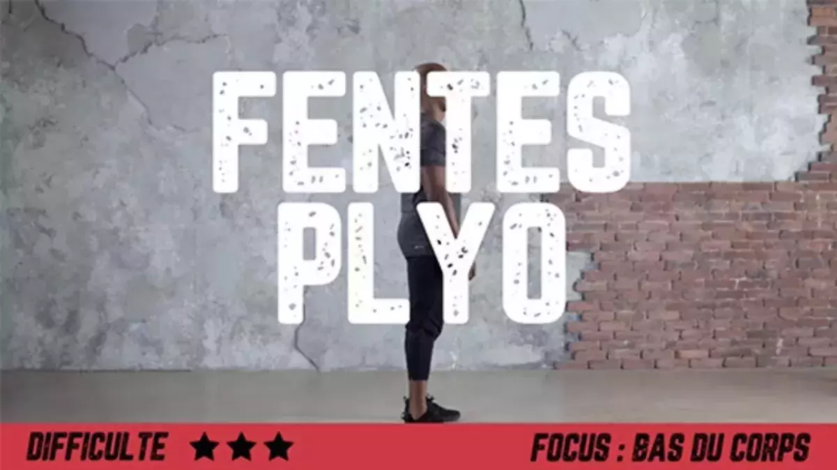 Fentes plyo