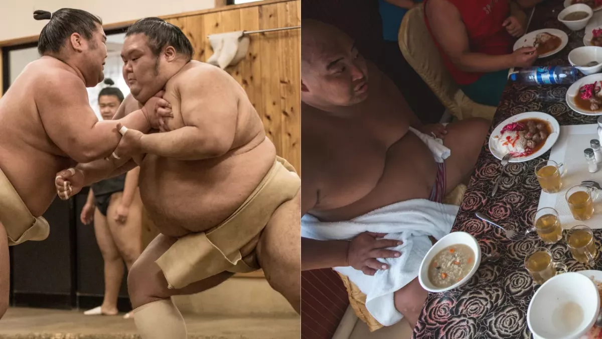 Des sumos qui s’entraînent et qui mangent 