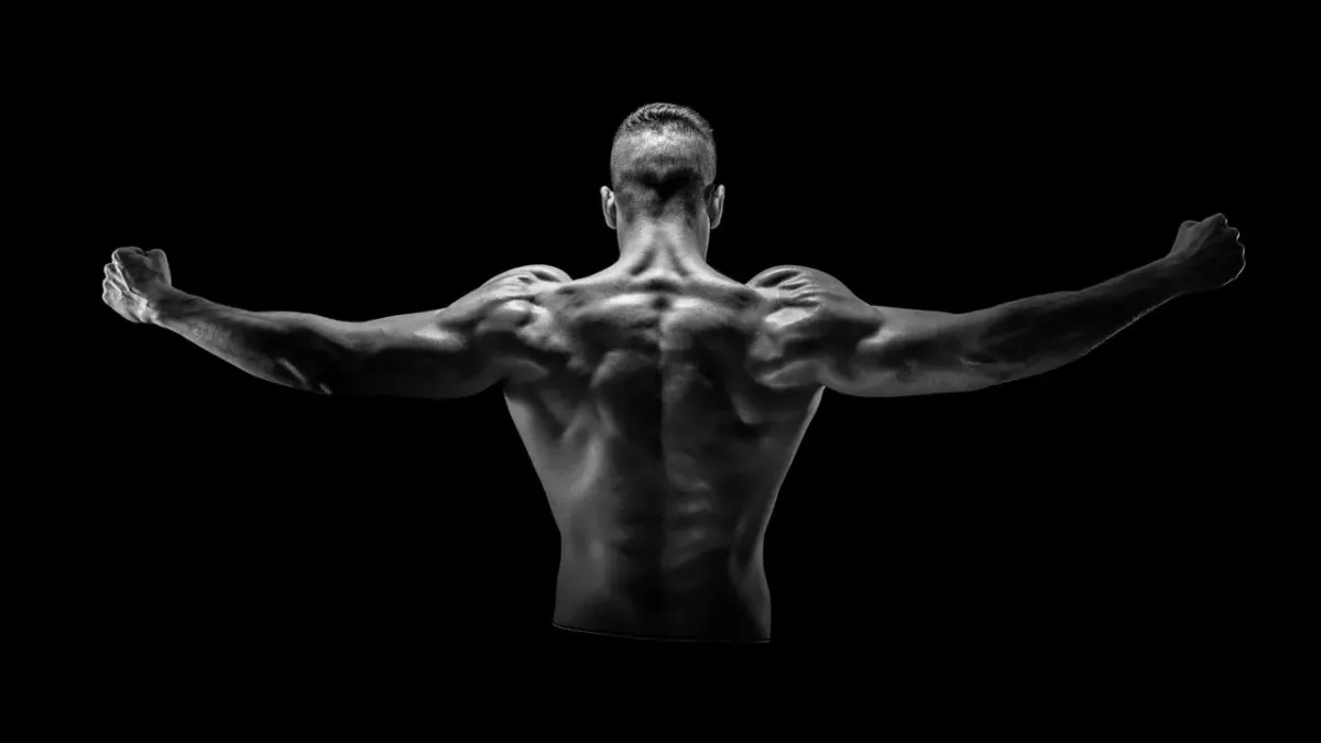 Exercice épaule : 9 exercices à faire pour se muscler les épaules