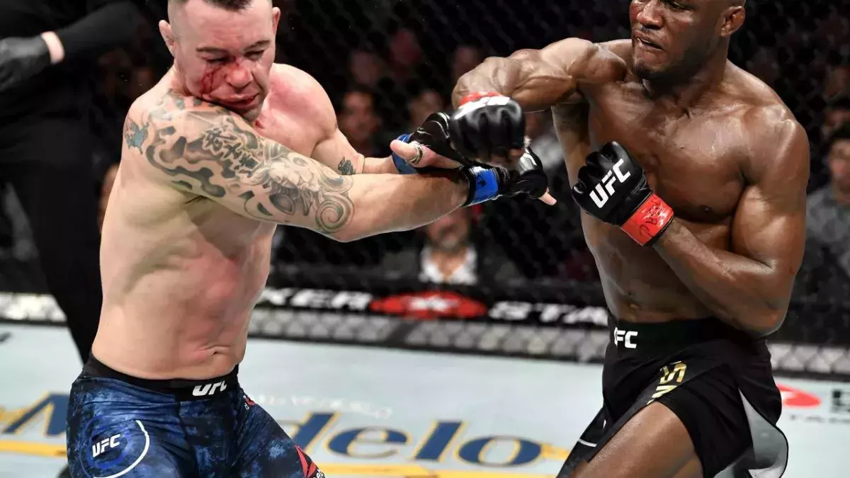 Kamaru Usman et Colby Covington lors de leur premier affrontement à l'UFC 245. 