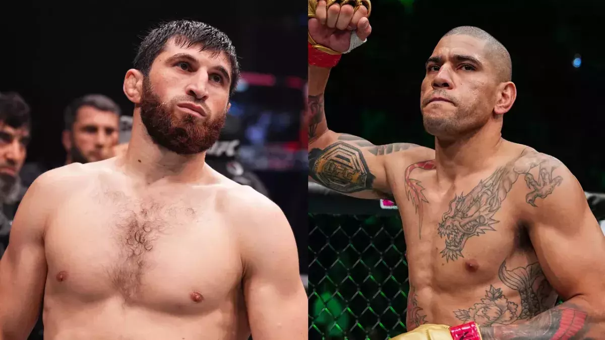 Magomed Ankalaev et Alex Pereira