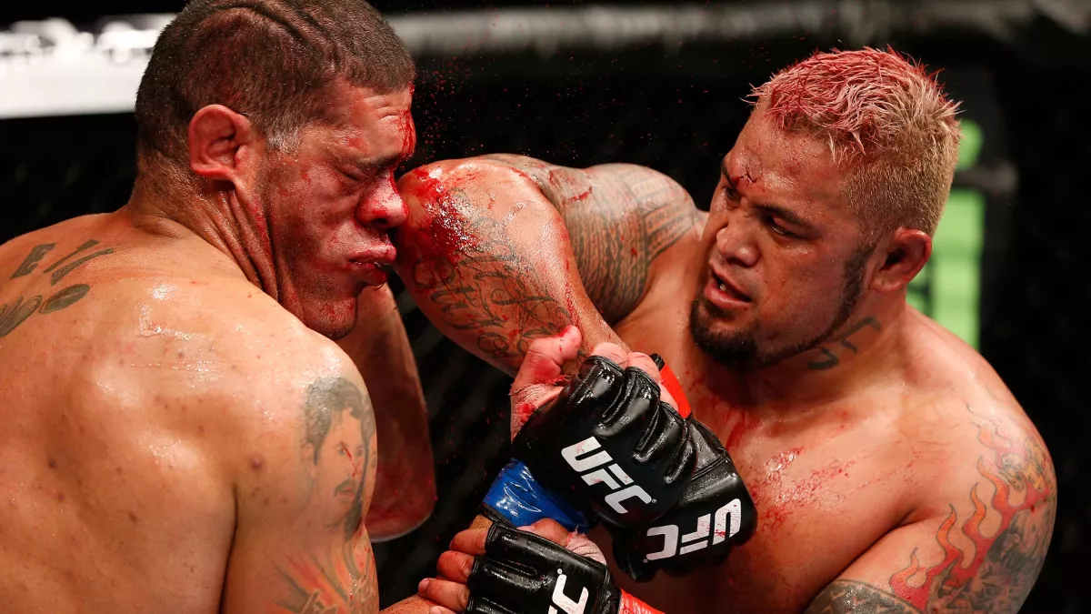 Mark Hunt Antonio Silva