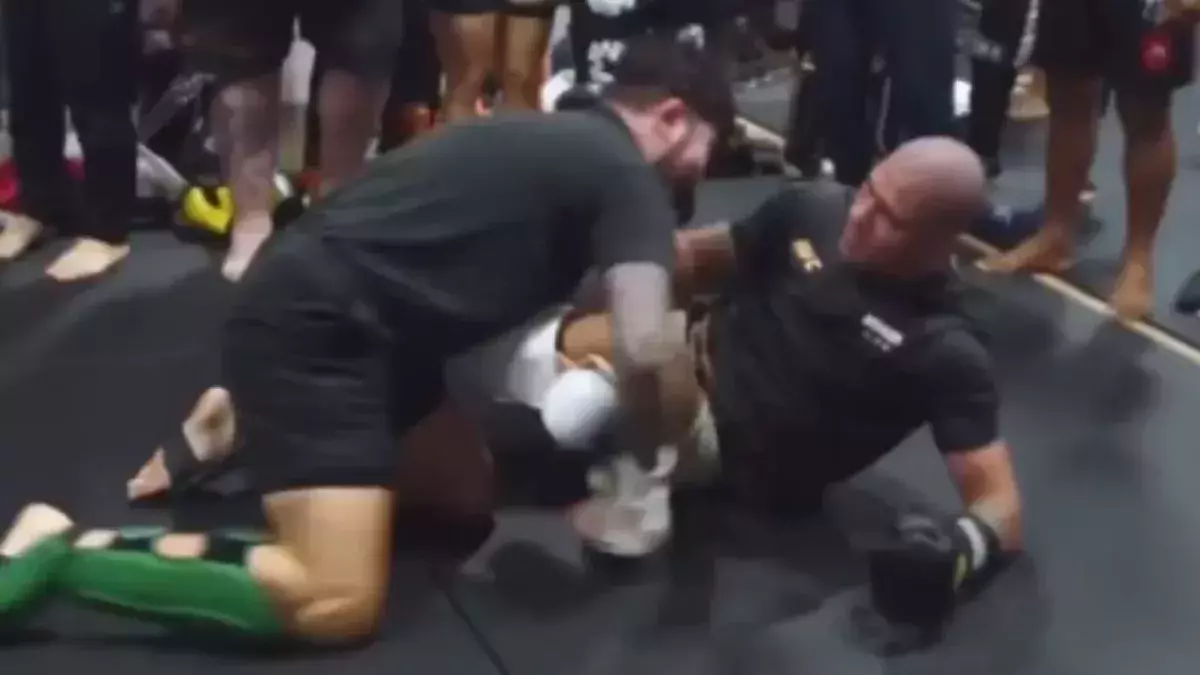 Sparring entre Dillon Danis et Alex Pereira 