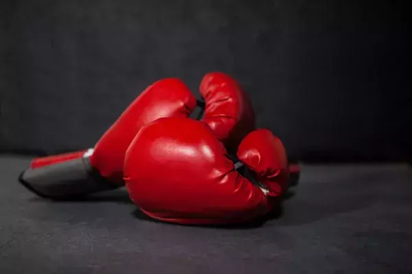 4. la boxe (anglaise ou française)