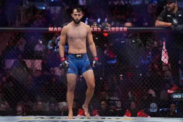 Combattant poids lourds léger : Dominick Reyes